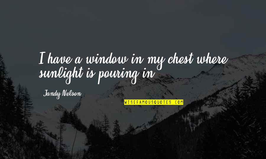 Tejendra Majumdar Quotes By Jandy Nelson: I have a window in my chest where