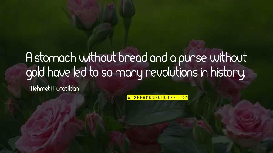 Tekken Blood Vengeance Quotes By Mehmet Murat Ildan: A stomach without bread and a purse without Tekken Blood Vengeance Quotes By Mehmet Murat Ildan: A stomach without bread and a purse without