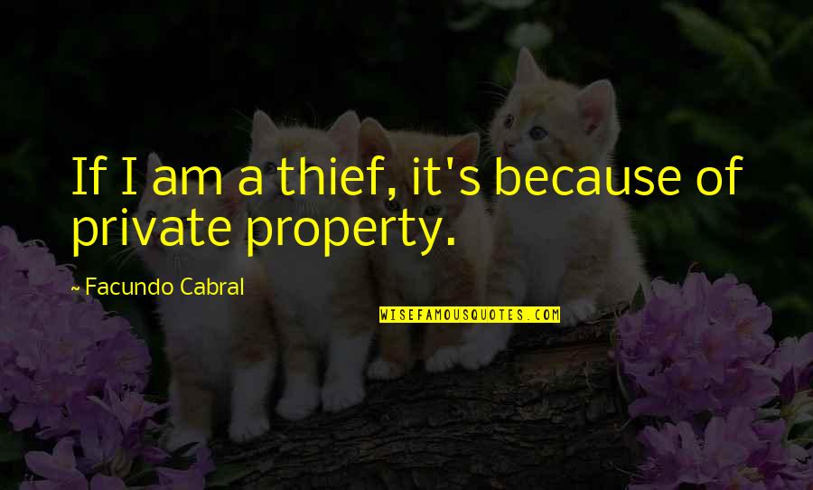 Tekken Japanese Quotes By Facundo Cabral: If I am a thief, it's because of Tekken Japanese Quotes By Facundo Cabral: If I am a thief, it's because of