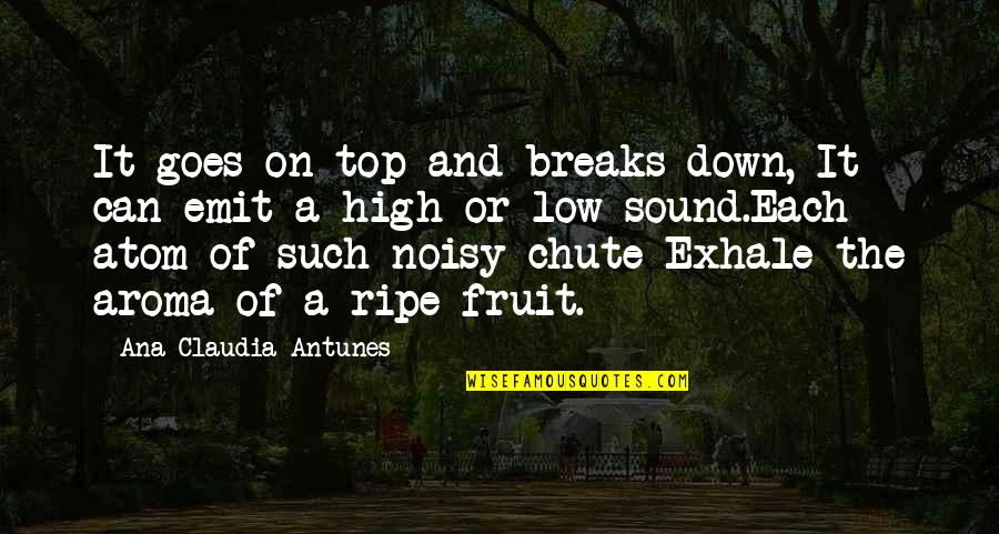 Tekovine Starog Quotes By Ana Claudia Antunes: It goes on top and breaks down, It Tekovine Starog Quotes By Ana Claudia Antunes: It goes on top and breaks down, It