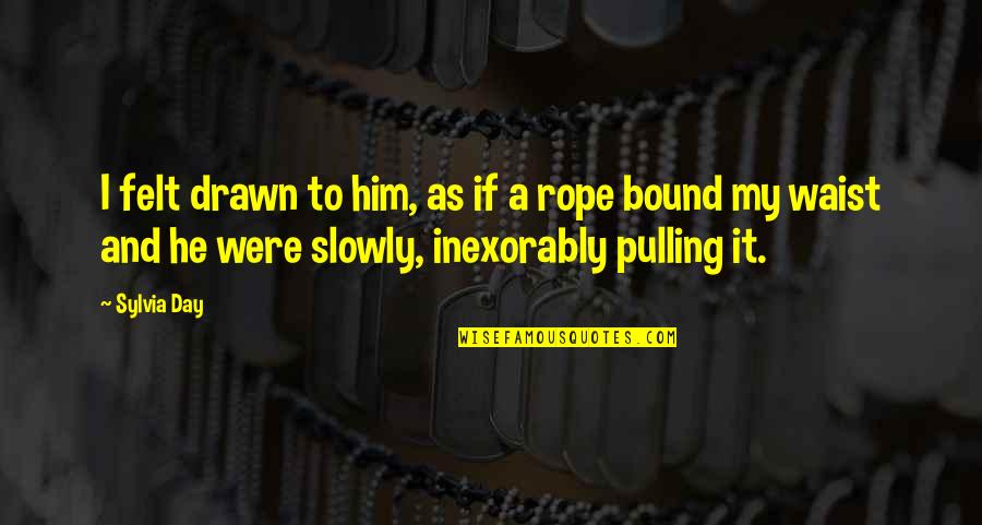 Telalate Quotes By Sylvia Day: I felt drawn to him, as if a Telalate Quotes By Sylvia Day: I felt drawn to him, as if a