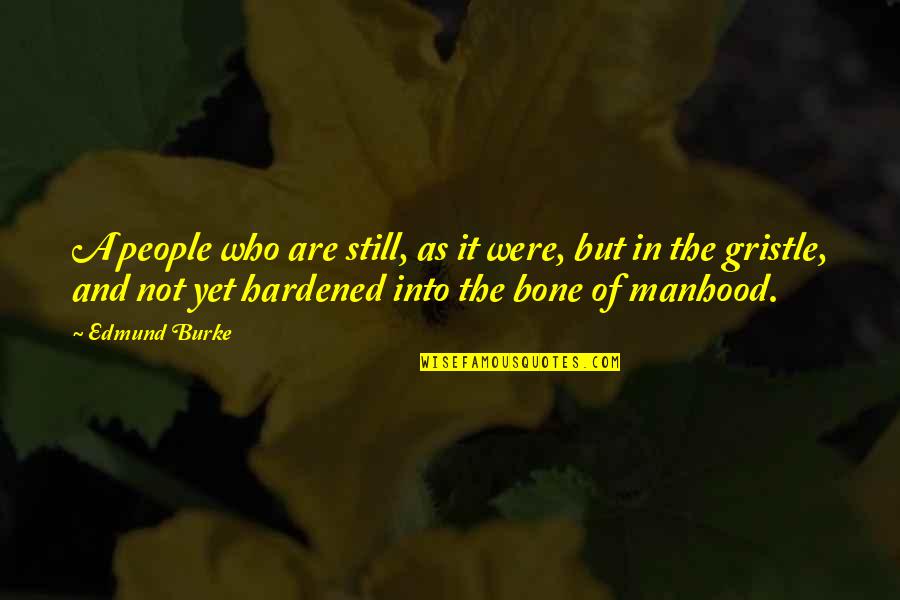 Telaron Quotes By Edmund Burke: A people who are still, as it were,