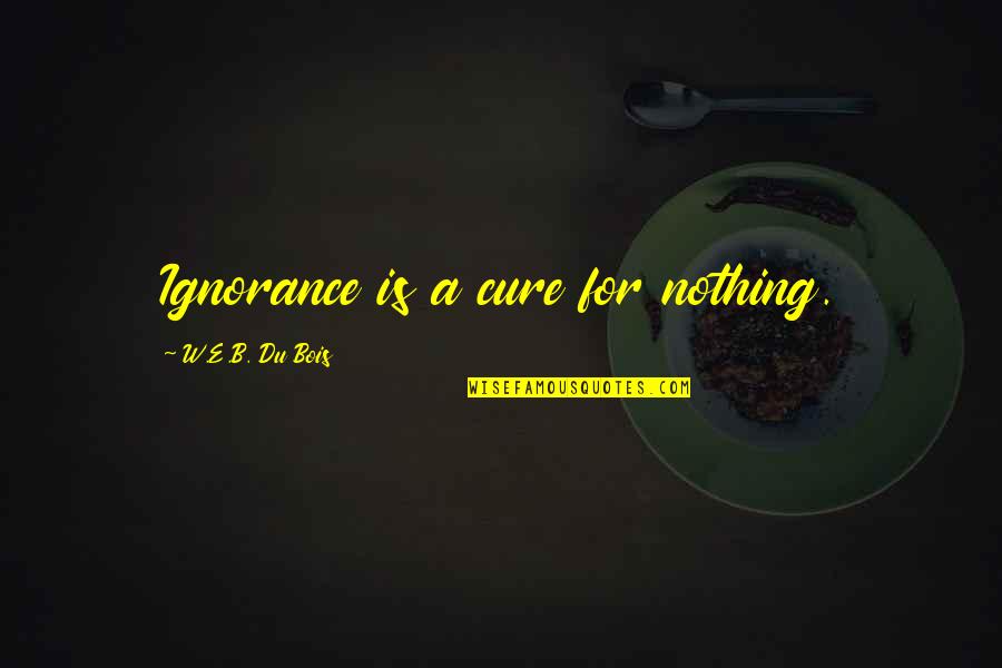 Telefona Te Quotes By W.E.B. Du Bois: Ignorance is a cure for nothing.