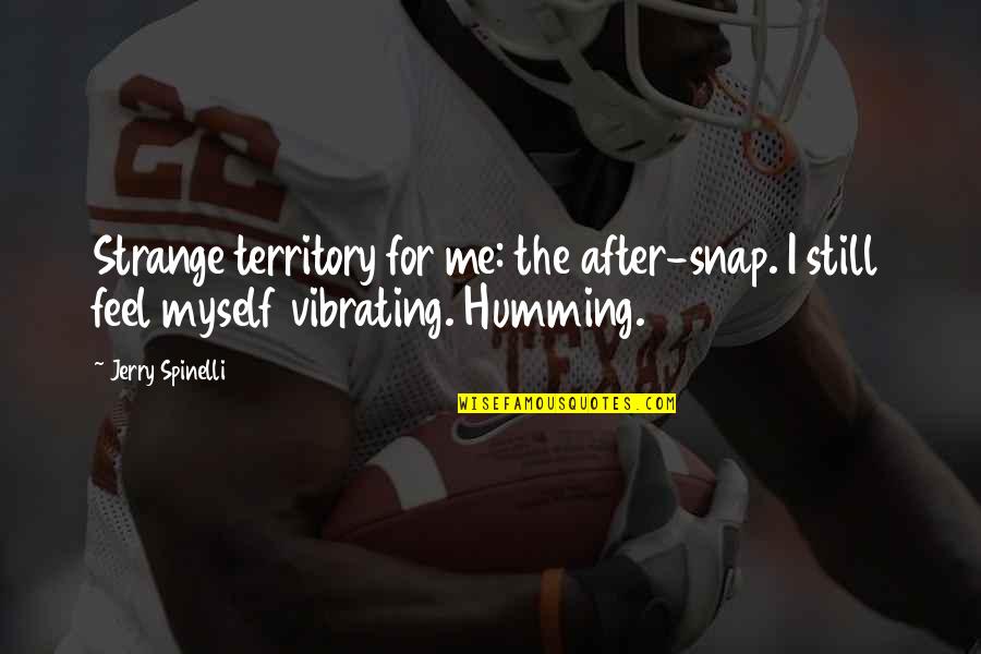 Teleos Leadership Quotes By Jerry Spinelli: Strange territory for me: the after-snap. I still