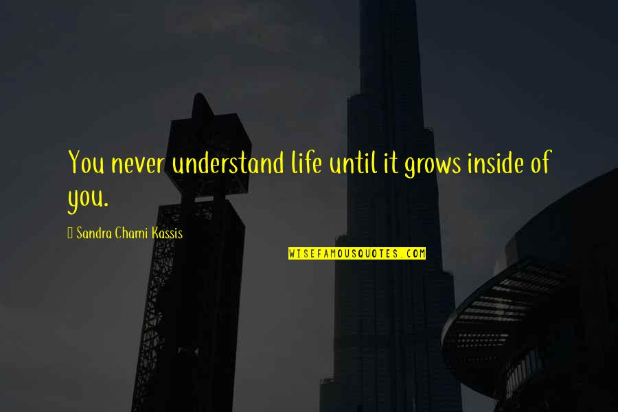 Telepanel Quotes By Sandra Chami Kassis: You never understand life until it grows inside Telepanel Quotes By Sandra Chami Kassis: You never understand life until it grows inside