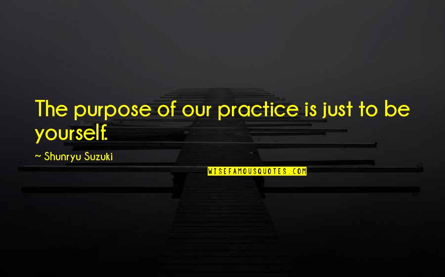 Teleporting Script Quotes By Shunryu Suzuki: The purpose of our practice is just to