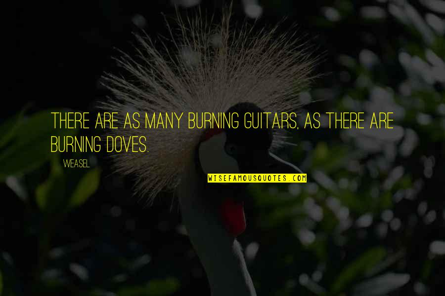 Telescoping Quotes By Weasel: There are as many burning guitars, as there