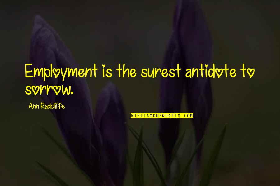 Televisa's Quotes By Ann Radcliffe: Employment is the surest antidote to sorrow.