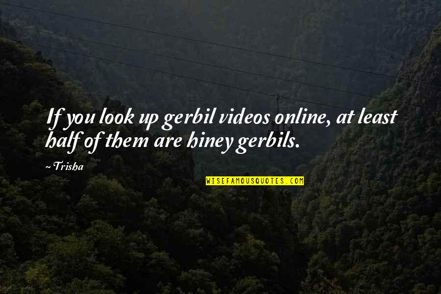 Televiseurs Quotes By Trisha: If you look up gerbil videos online, at