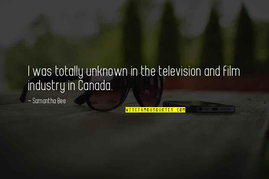 Television And Film Quotes By Samantha Bee: I was totally unknown in the television and