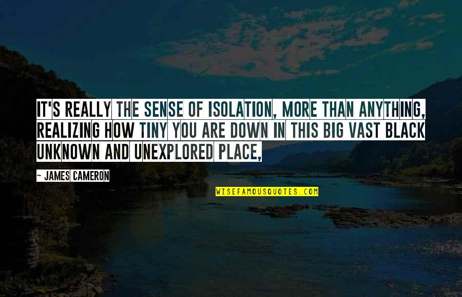 Televisions At Costco Quotes By James Cameron: It's really the sense of isolation, more than