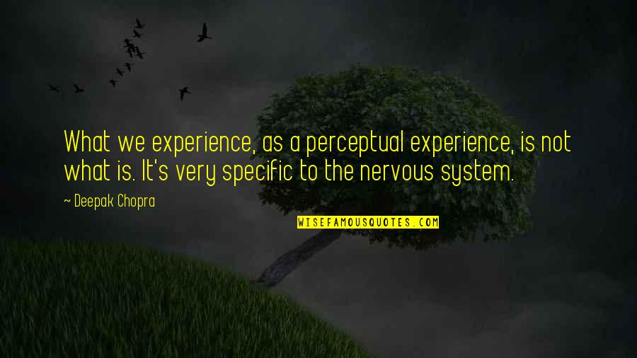 Teleworking Funny Quotes By Deepak Chopra: What we experience, as a perceptual experience, is Teleworking Funny Quotes By Deepak Chopra: What we experience, as a perceptual experience, is