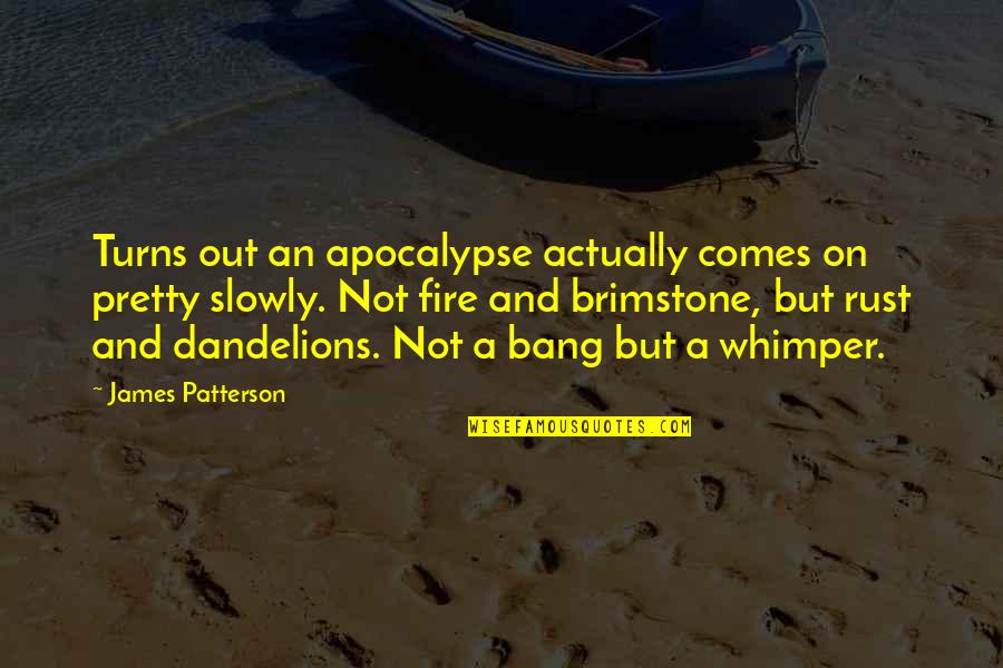Telhami Shibley Quotes By James Patterson: Turns out an apocalypse actually comes on pretty Telhami Shibley Quotes By James Patterson: Turns out an apocalypse actually comes on pretty
