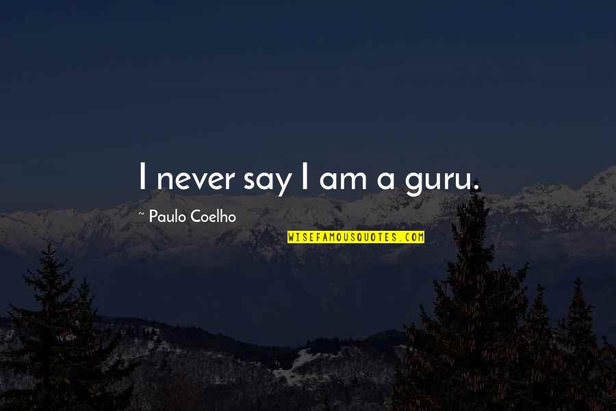 Tell It To The Bees Quotes By Paulo Coelho: I never say I am a guru.