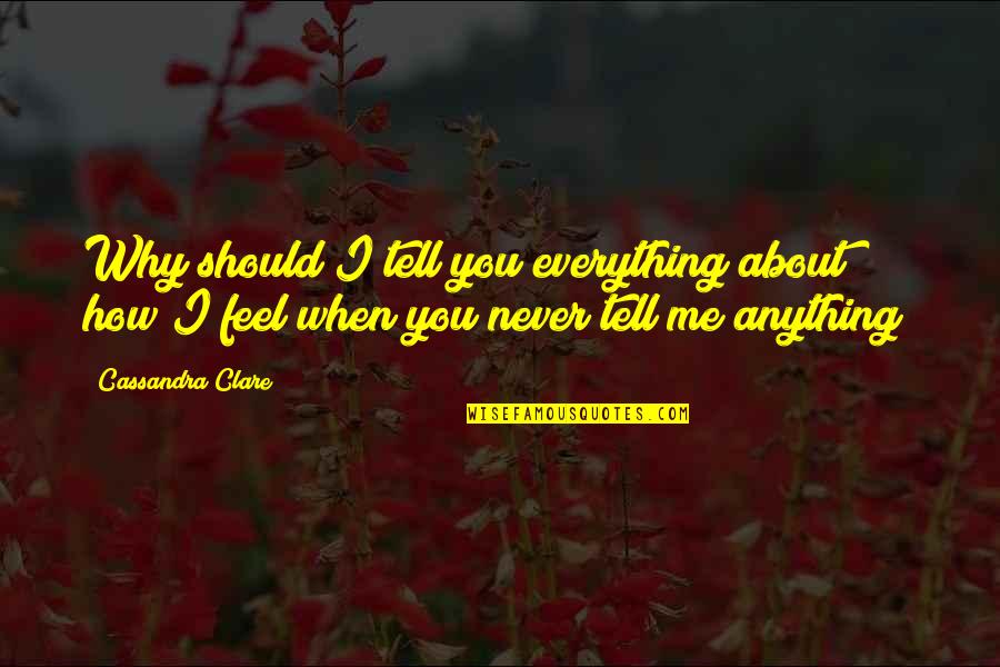 Tell Me How You Really Feel Quotes By Cassandra Clare: Why should I tell you everything about how