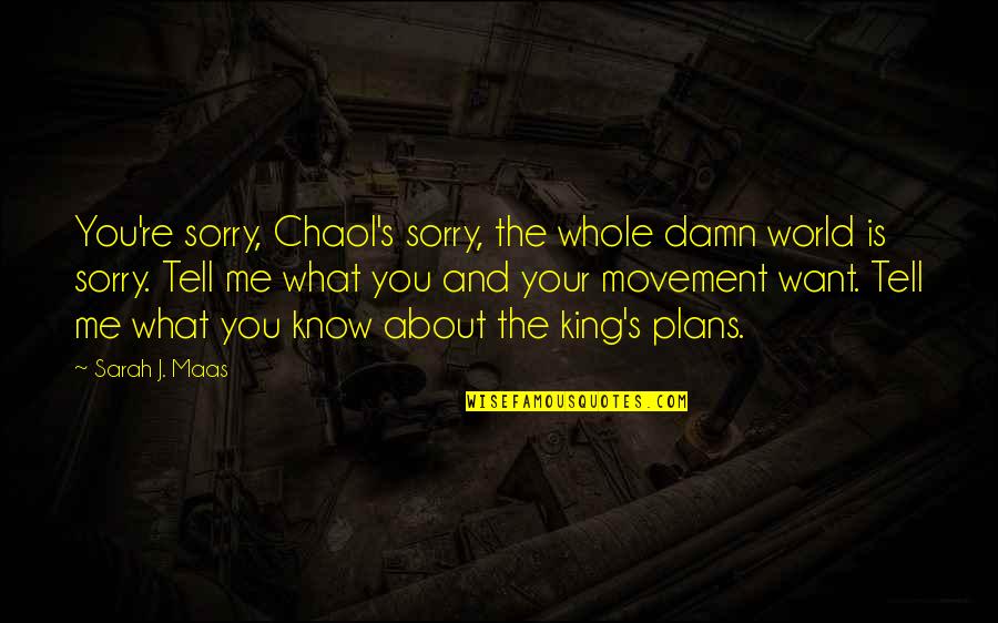 Tell Me What You Want Quotes By Sarah J. Maas: You're sorry, Chaol's sorry, the whole damn world