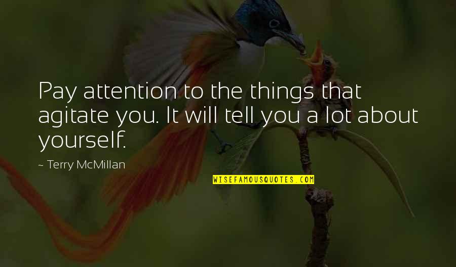 Tell Us About Yourself Quotes By Terry McMillan: Pay attention to the things that agitate you.