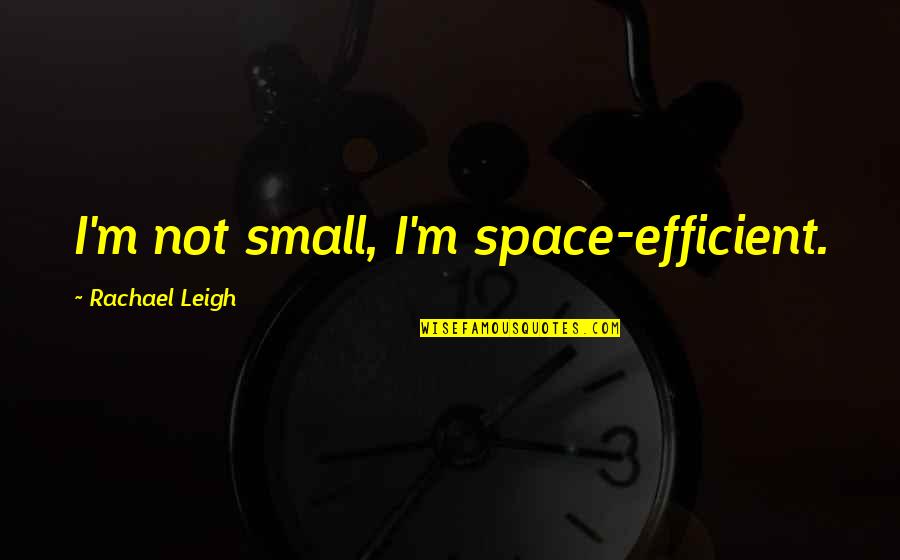 Telling A Guy You Like Him Quotes By Rachael Leigh: I'm not small, I'm space-efficient.
