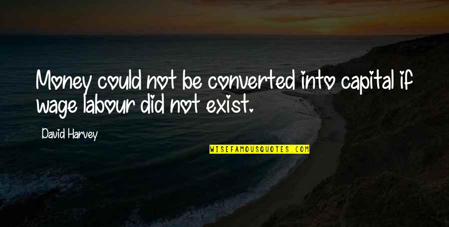 Telling Someone How You Feel Before It's Too Late Quotes By David Harvey: Money could not be converted into capital if