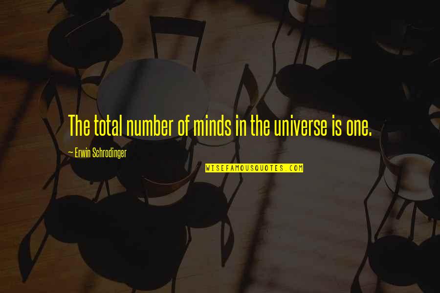 Telling The Truth No Matter What Quotes By Erwin Schrodinger: The total number of minds in the universe