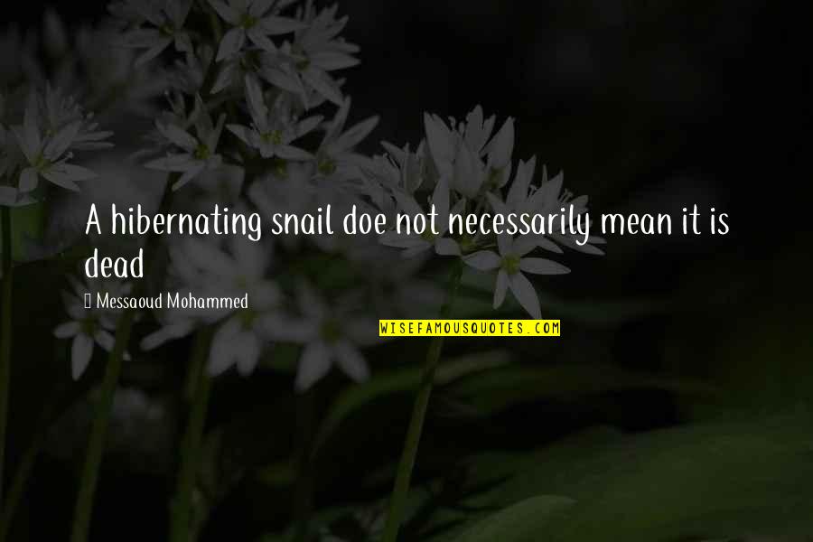 Tellson Quotes By Messaoud Mohammed: A hibernating snail doe not necessarily mean it