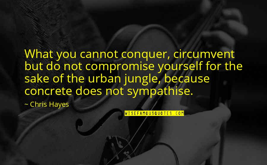 Tembamnya Quotes By Chris Hayes: What you cannot conquer, circumvent but do not