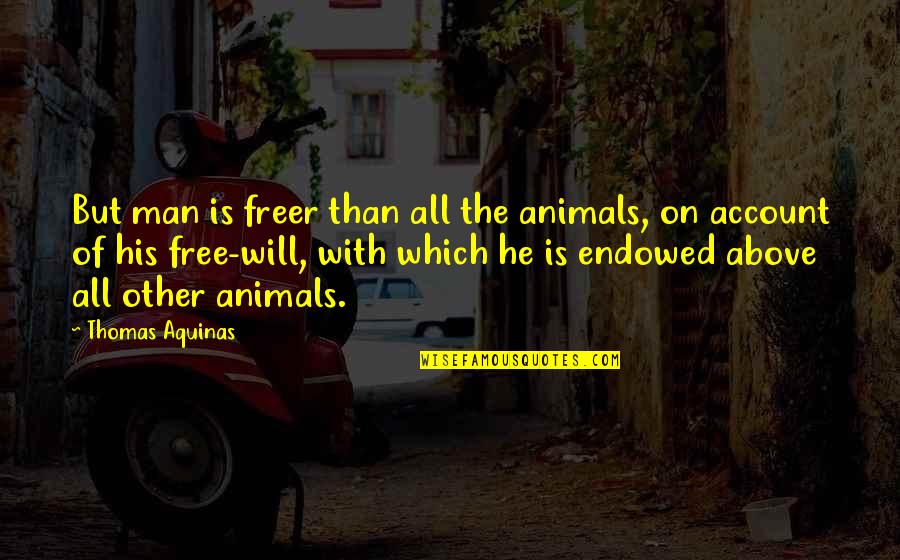 Temblores Movie Quotes By Thomas Aquinas: But man is freer than all the animals, Temblores Movie Quotes By Thomas Aquinas: But man is freer than all the animals,
