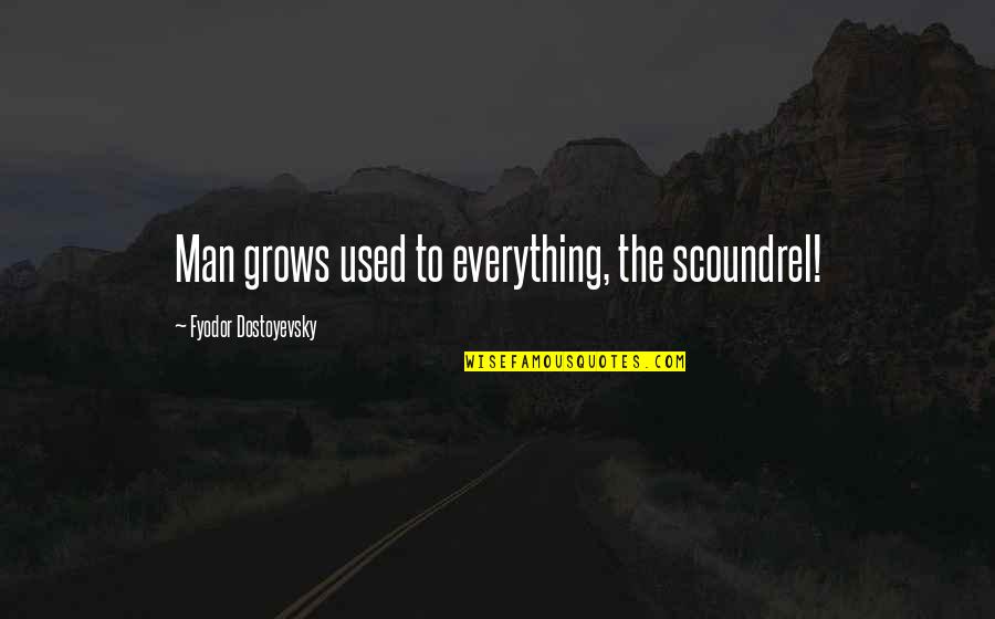 Temeles Quotes By Fyodor Dostoyevsky: Man grows used to everything, the scoundrel! Temeles Quotes By Fyodor Dostoyevsky: Man grows used to everything, the scoundrel!