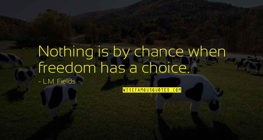 Temoc Herrera Quotes By L.M. Fields: Nothing is by chance when freedom has a