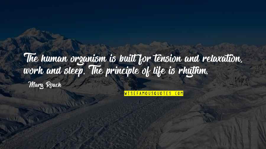 Tempat Membuat Quotes By Mary Roach: The human organism is built for tension and