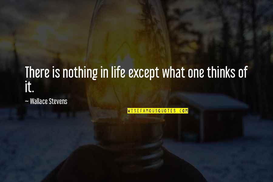 Temperance Saint Quotes By Wallace Stevens: There is nothing in life except what one Temperance Saint Quotes By Wallace Stevens: There is nothing in life except what one