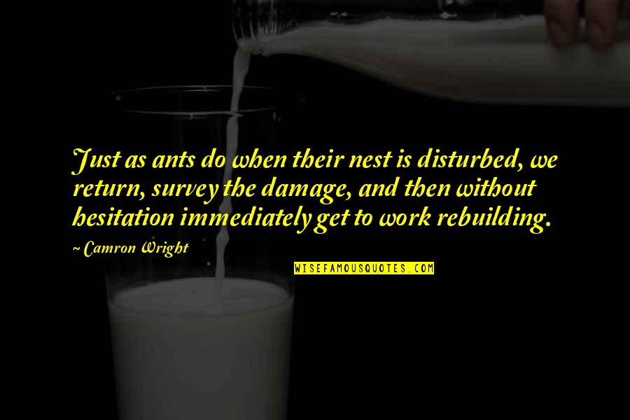 Temperatour Quotes By Camron Wright: Just as ants do when their nest is Temperatour Quotes By Camron Wright: Just as ants do when their nest is