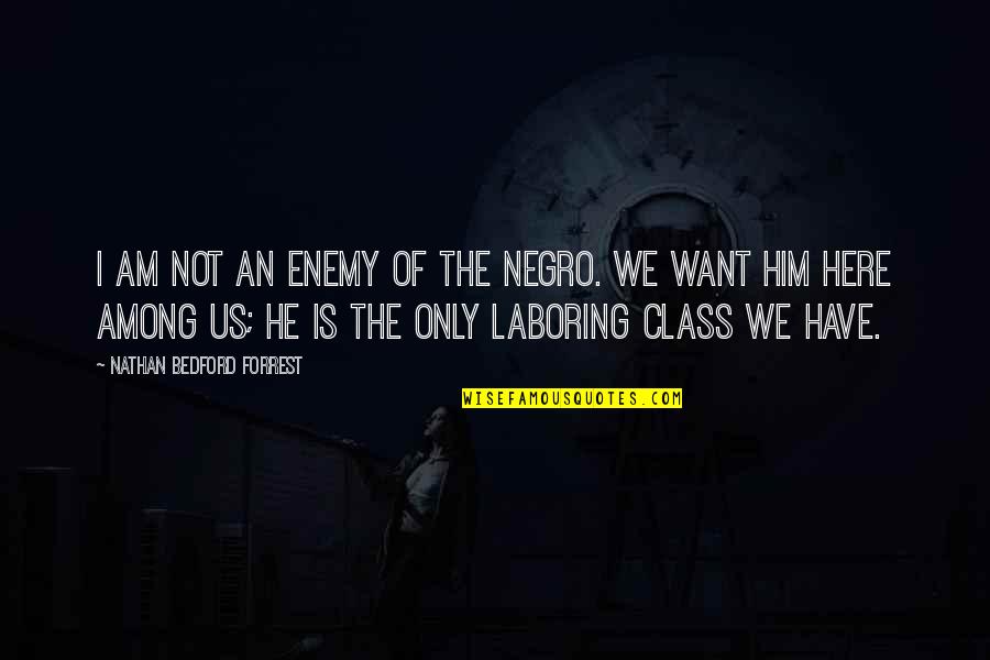 Tempio Egizio Quotes By Nathan Bedford Forrest: I am not an enemy of the Negro. Tempio Egizio Quotes By Nathan Bedford Forrest: I am not an enemy of the Negro.