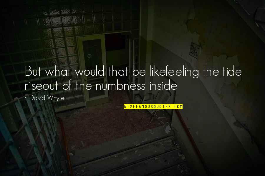 Temple Grandin Cattle Quotes By David Whyte: But what would that be likefeeling the tide
