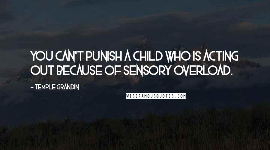 Temple Grandin quotes: You can't punish a child who is acting out because of sensory overload.