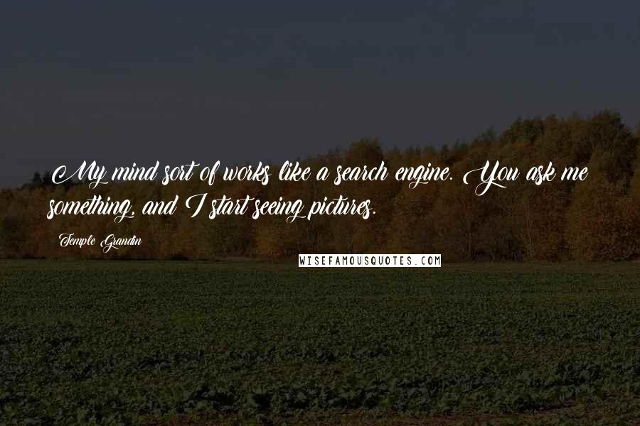 Temple Grandin quotes: My mind sort of works like a search engine. You ask me something, and I start seeing pictures.