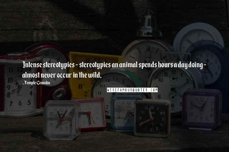 Temple Grandin quotes: Intense stereotypies - stereotypies an animal spends hours a day doing - almost never occur in the wild, Temple Grandin quotes: Intense stereotypies - stereotypies an animal spends hours a day doing - almost never occur in the wild,