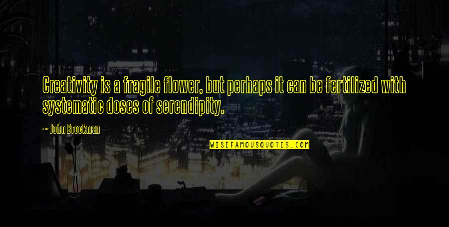 Temporale Prapositionen Quotes By John Brockman: Creativity is a fragile flower, but perhaps it Temporale Prapositionen Quotes By John Brockman: Creativity is a fragile flower, but perhaps it