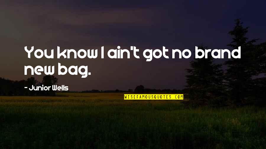 Temuco Quotes By Junior Wells: You know I ain't got no brand new Temuco Quotes By Junior Wells: You know I ain't got no brand new