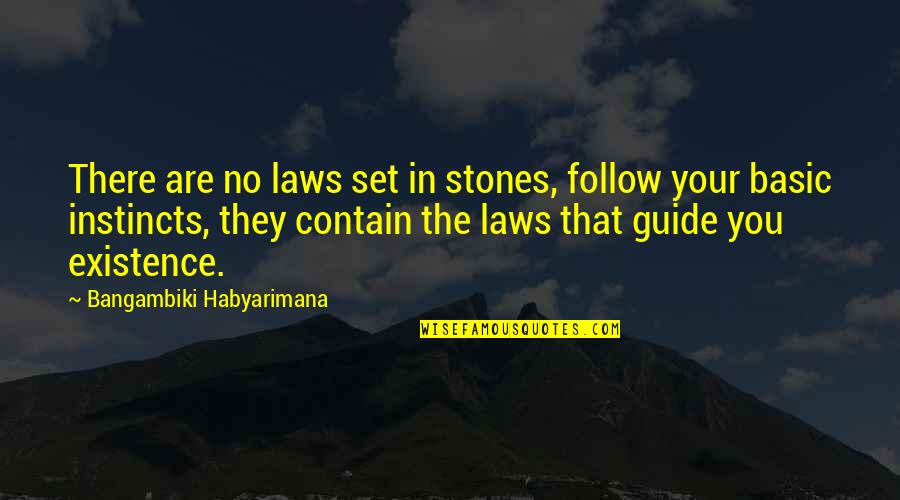 Ten Tours Quotes By Bangambiki Habyarimana: There are no laws set in stones, follow