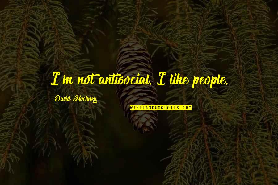 Tenaska Power Quotes By David Hockney: I'm not antisocial. I like people.