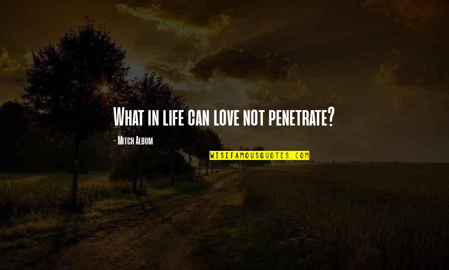 Tendentious Quotes By Mitch Albom: What in life can love not penetrate?