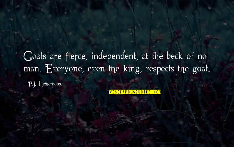 Tenderizing Sirloin Quotes By P.J. Hetherhouse: Goats are fierce, independent, at the beck of