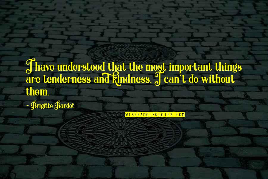 Tenderness And Kindness Quotes By Brigitte Bardot: I have understood that the most important things