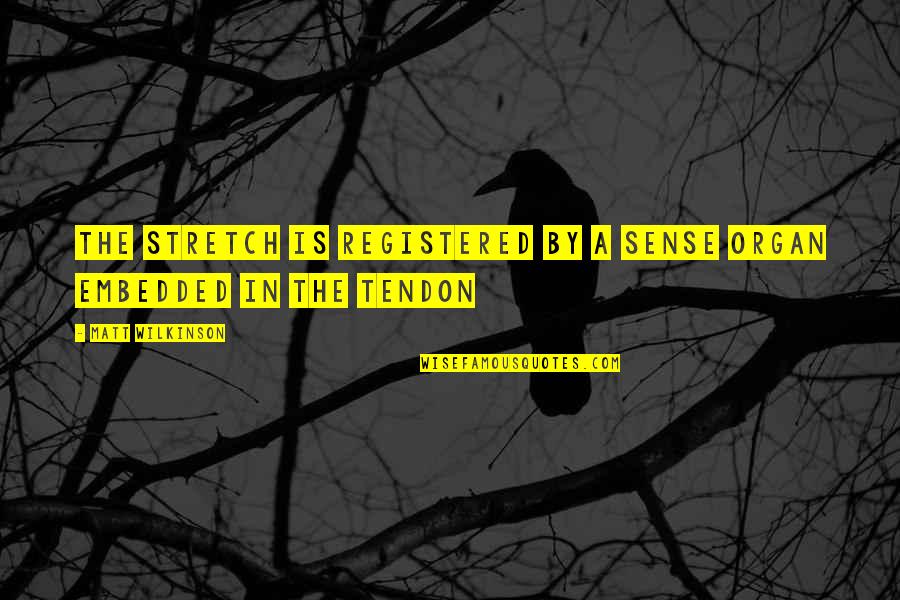 Tendon Quotes By Matt Wilkinson: The stretch is registered by a sense organ
