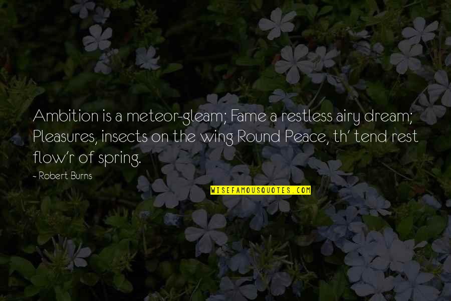 Tend'rest Quotes By Robert Burns: Ambition is a meteor-gleam; Fame a restless airy