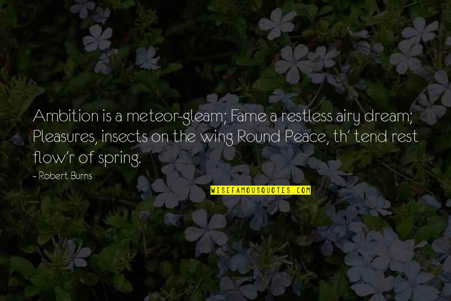 Tend'rest Quotes By Robert Burns: Ambition is a meteor-gleam; Fame a restless airy Tend'rest Quotes By Robert Burns: Ambition is a meteor-gleam; Fame a restless airy