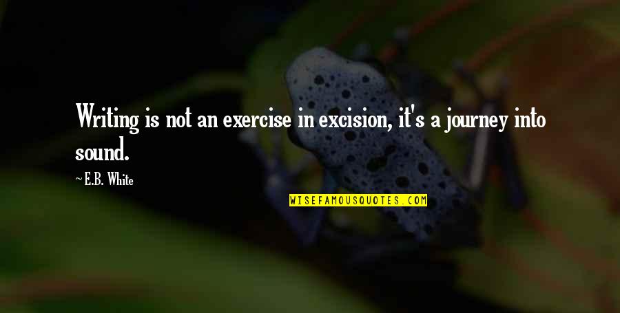 Tendrils Of Agony Quotes By E.B. White: Writing is not an exercise in excision, it's