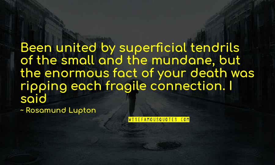 Tendrils Quotes By Rosamund Lupton: Been united by superficial tendrils of the small Tendrils Quotes By Rosamund Lupton: Been united by superficial tendrils of the small