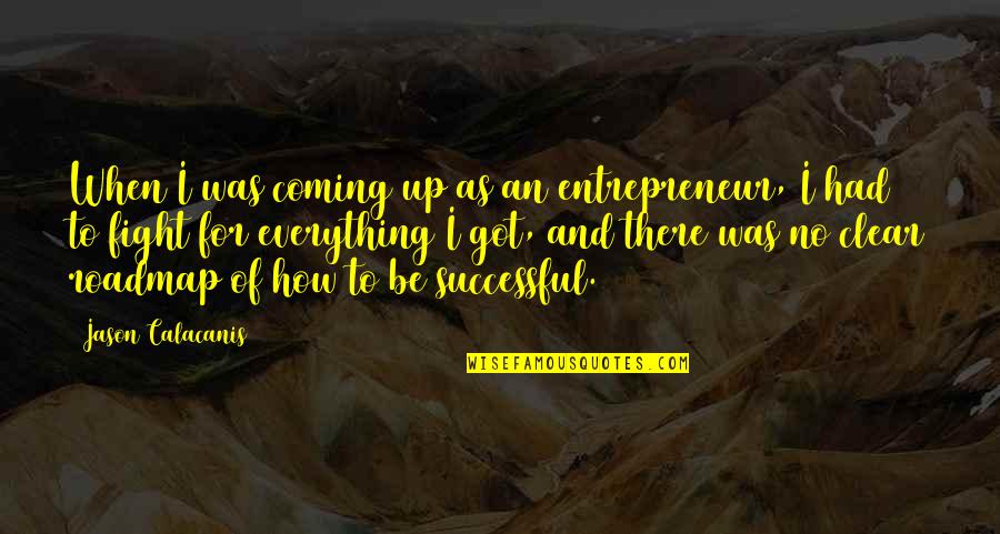 Tenedor Animado Quotes By Jason Calacanis: When I was coming up as an entrepreneur,